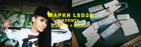 прущие грибы Заволжск