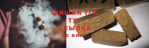 прущие грибы Заволжск