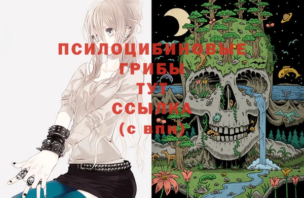 прущие грибы Заволжск
