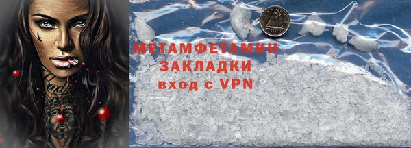 прущие грибы Заволжск