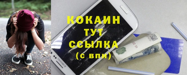 прущие грибы Орехово-Зуево