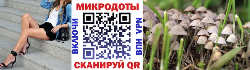 kraken хочу Железногорск-Илимский Псилоцибиновые грибы MAGIC MUSHROOMS